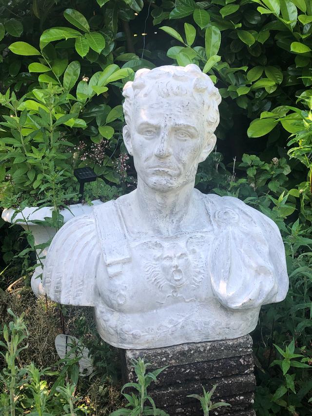 Picture for question