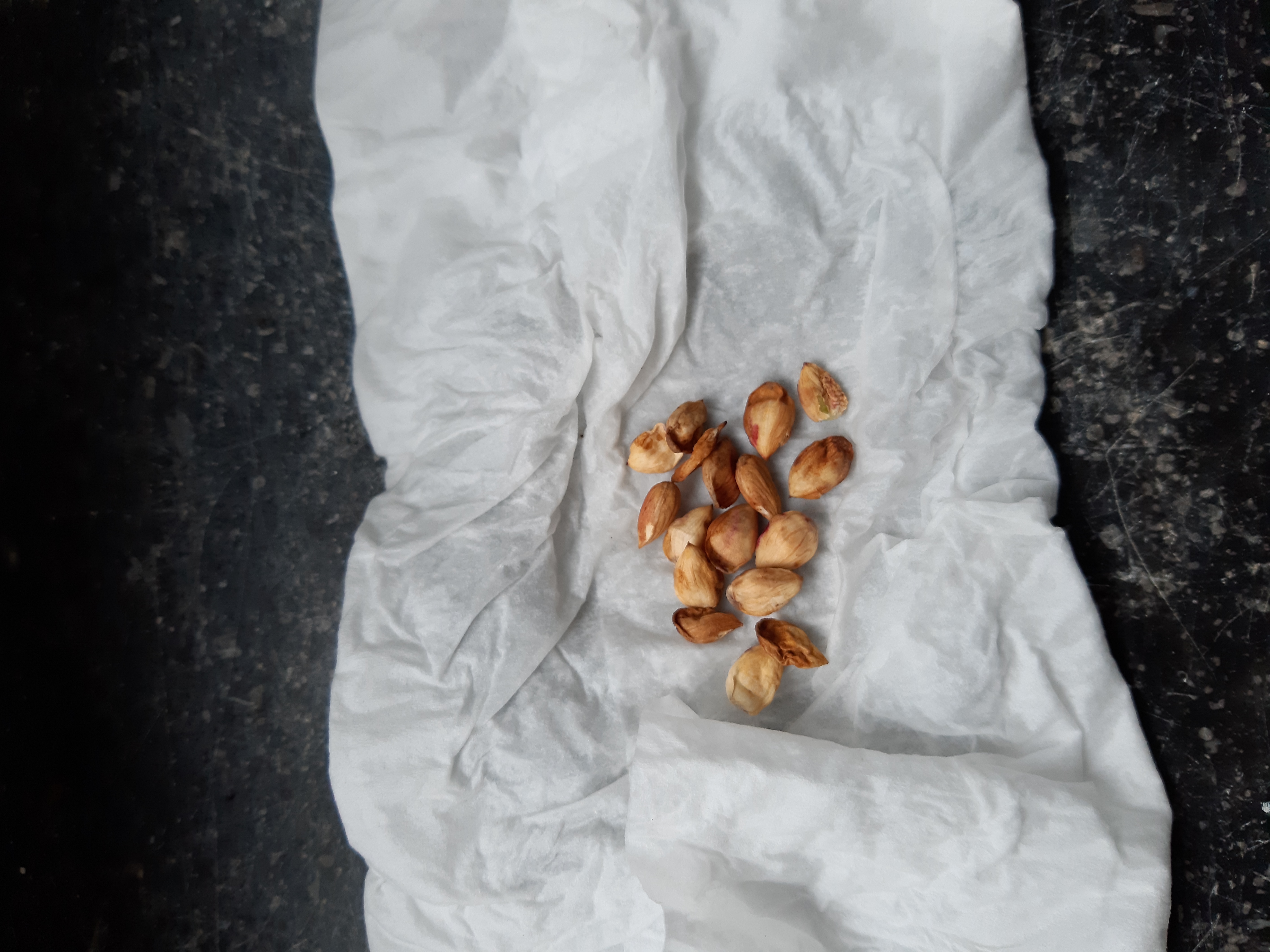 Picture for question