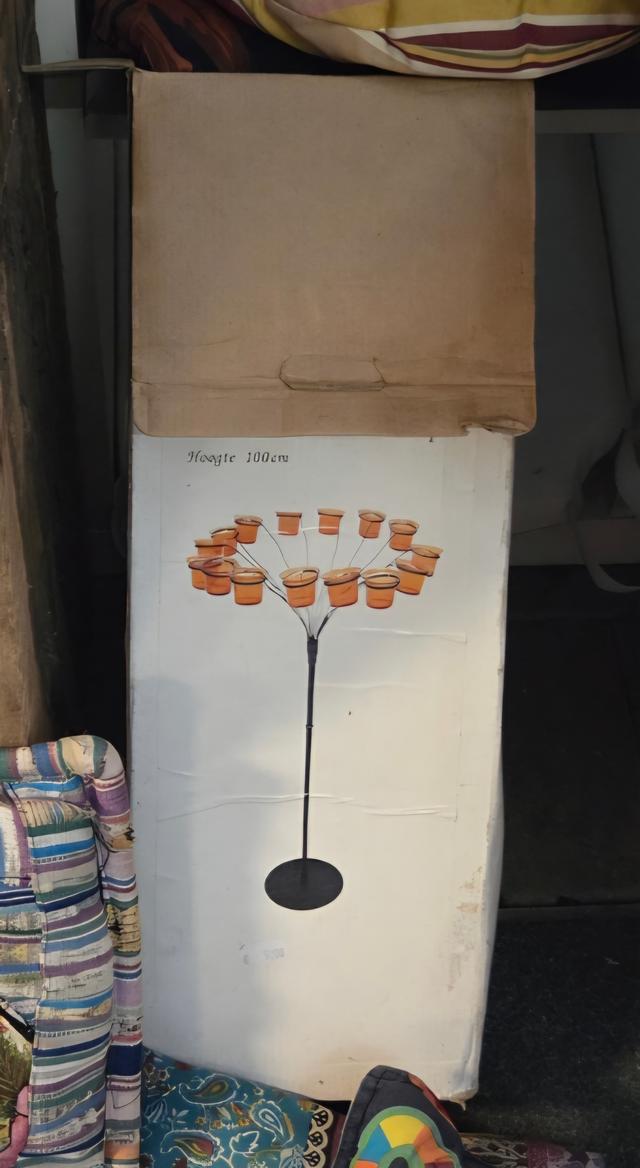 Picture for question