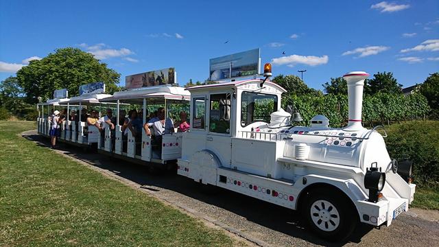 Plaatje bij antwoord