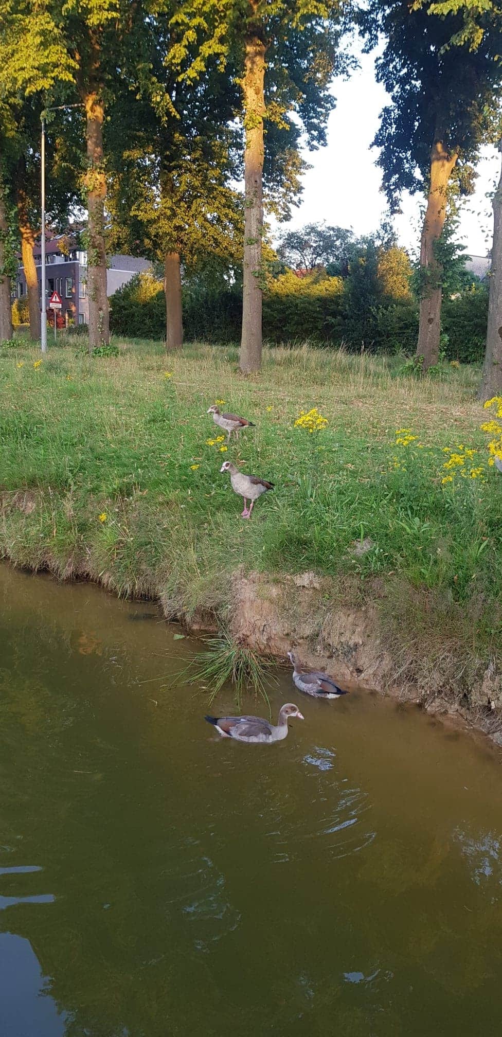 Picture for question