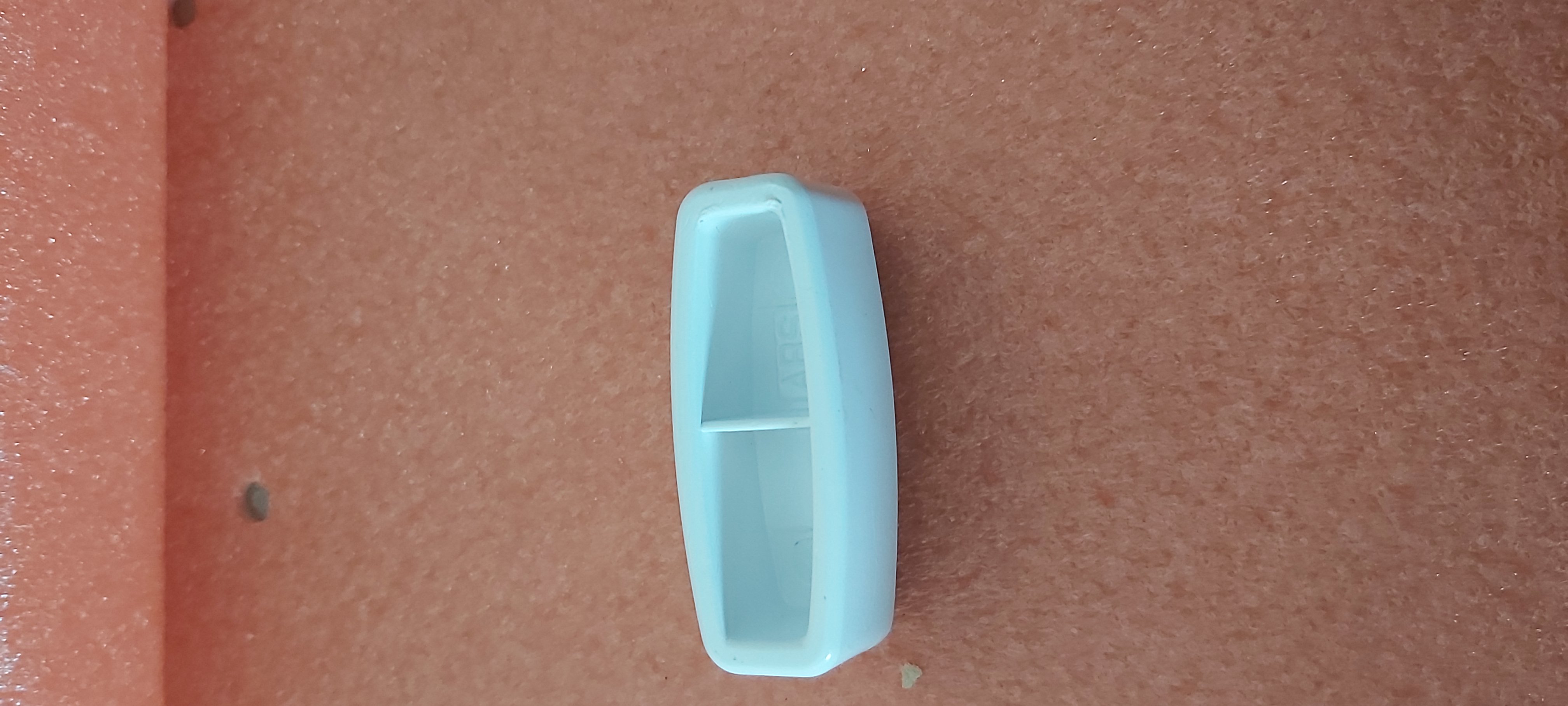 Picture for question