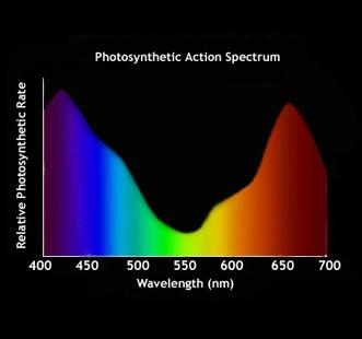 Plaatje bij antwoord