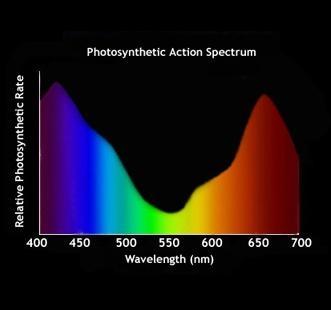 Plaatje bij antwoord