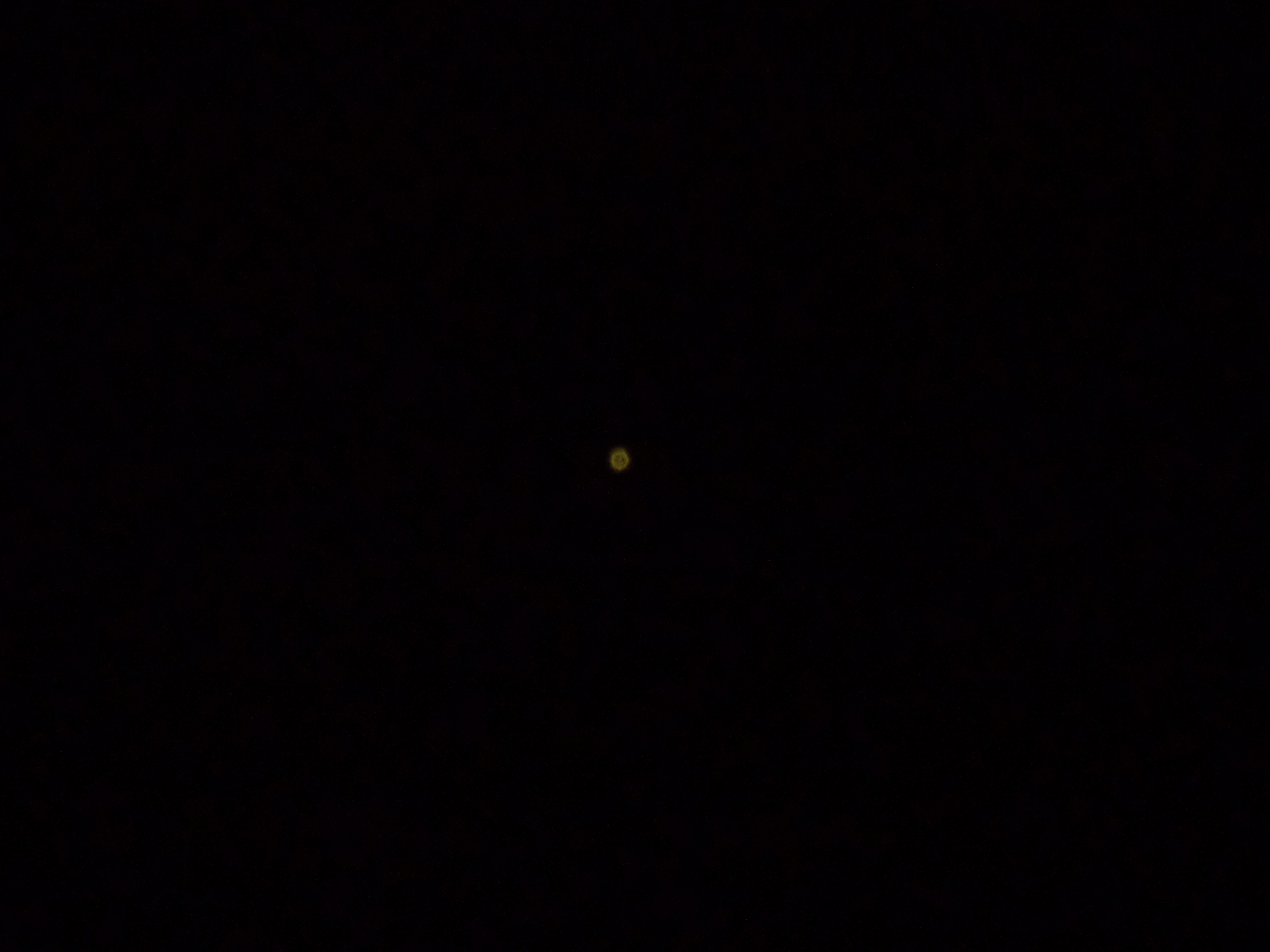 Picture for question