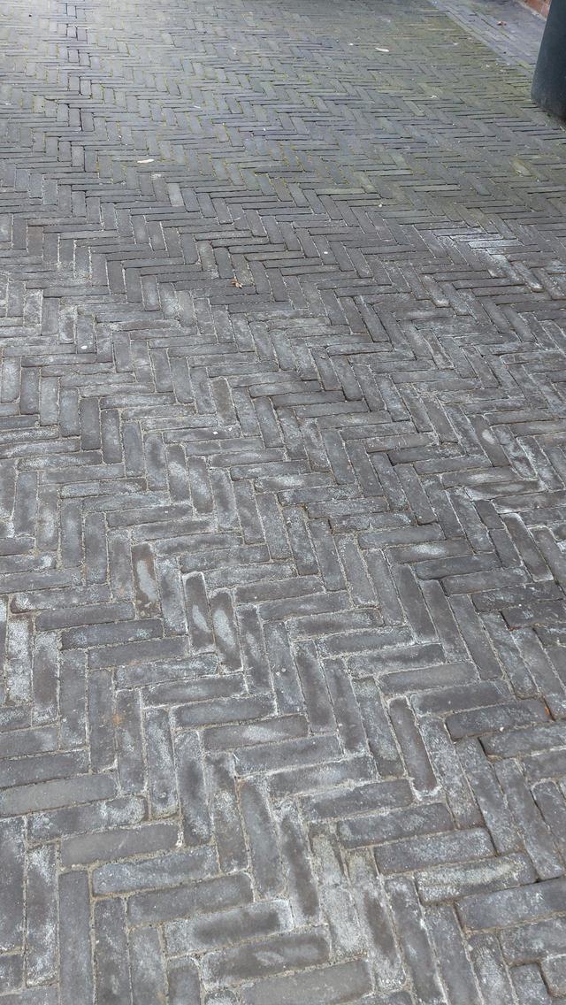 Picture for question