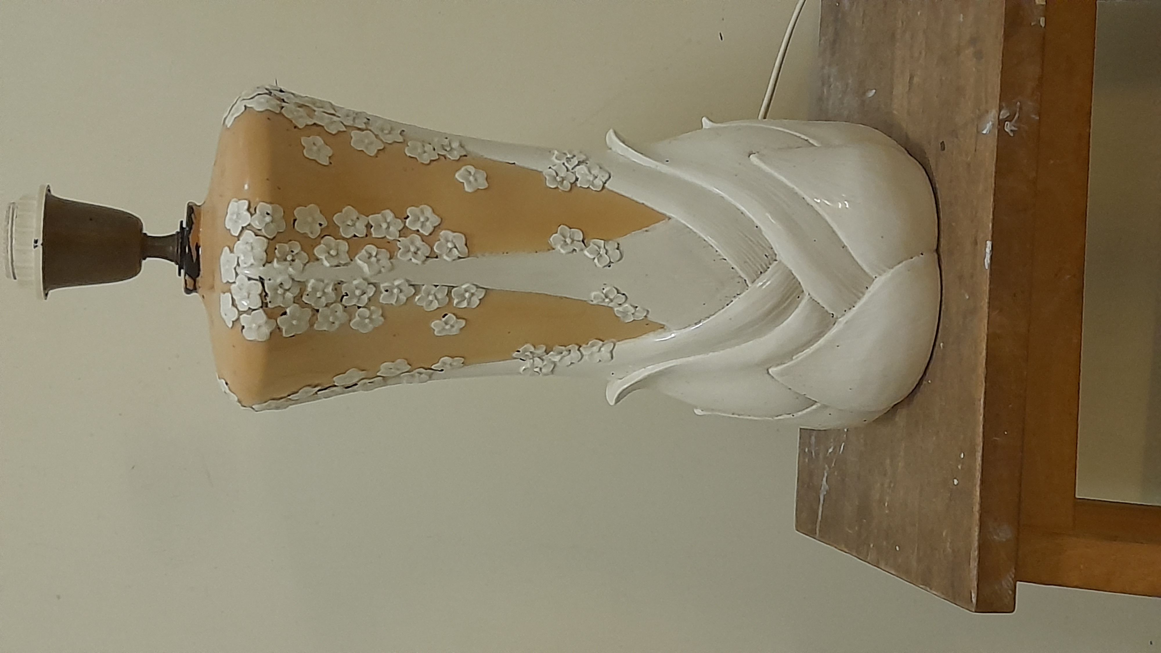 Picture for question