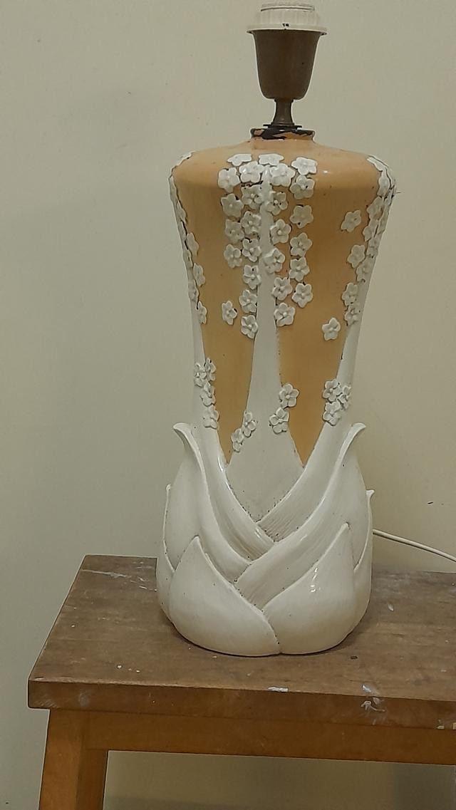 Picture for question