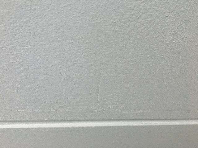 Picture for question
