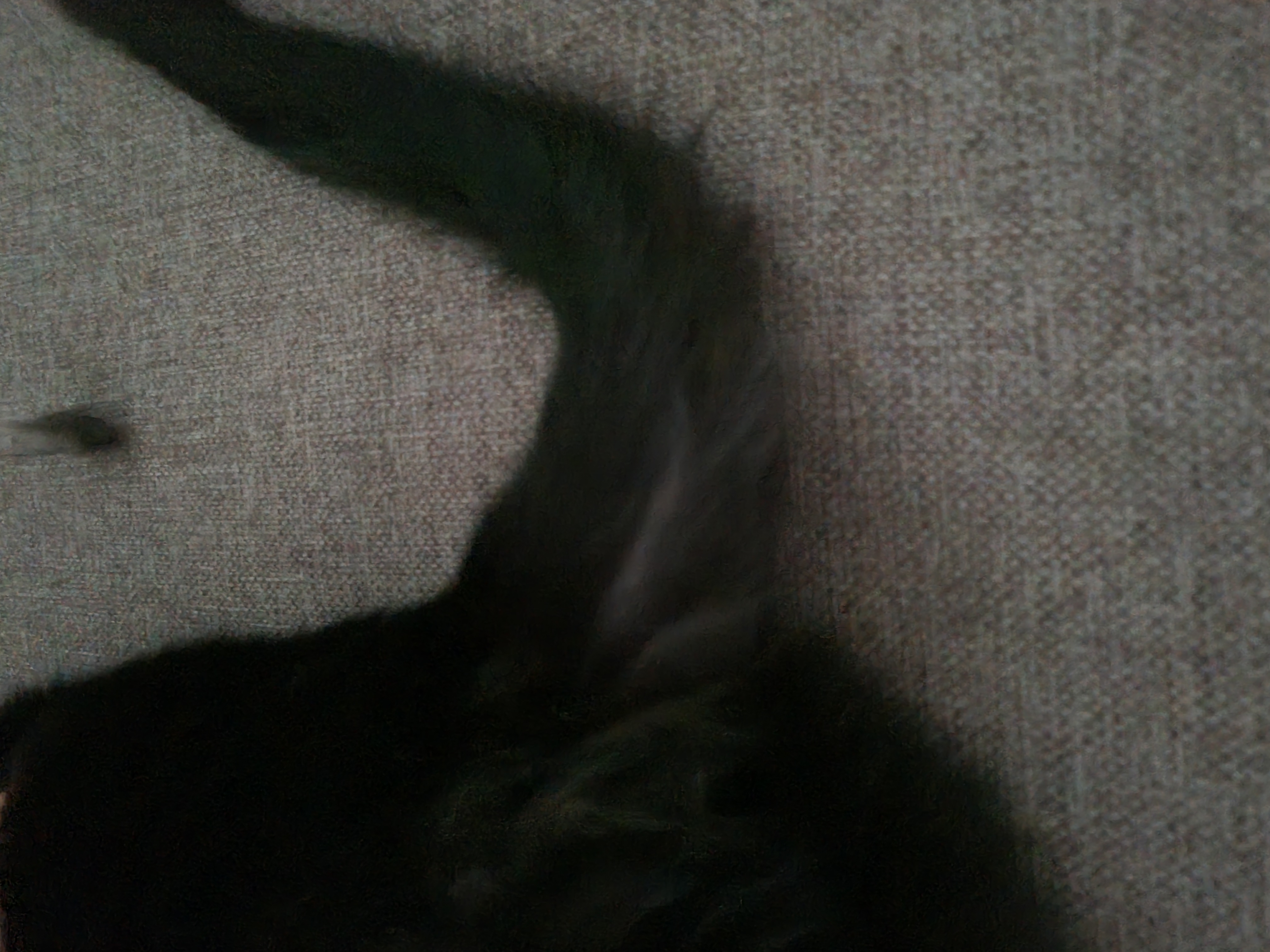 Picture for question