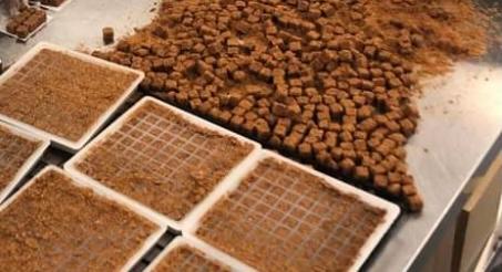 Picture for question