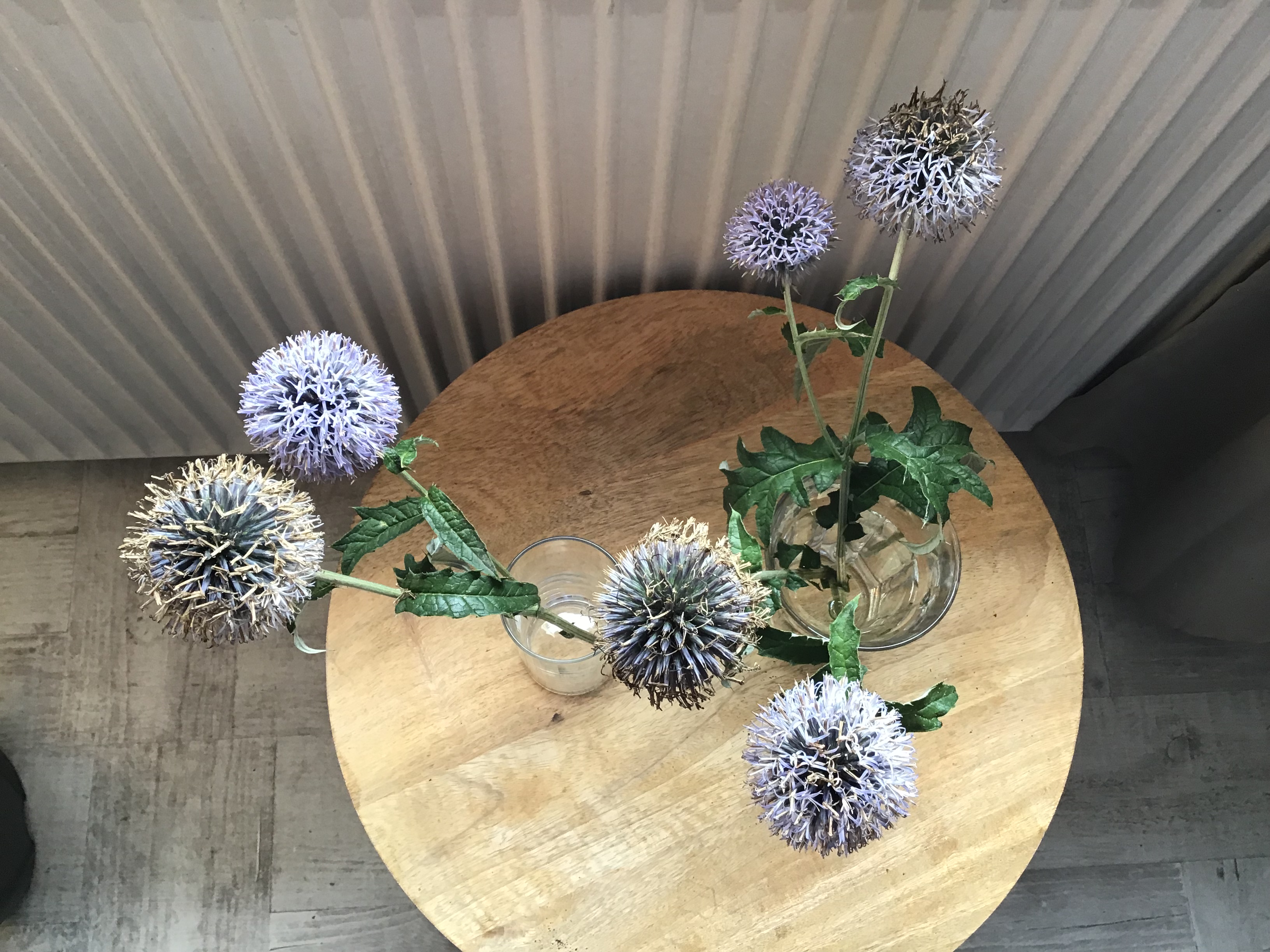 Picture for question