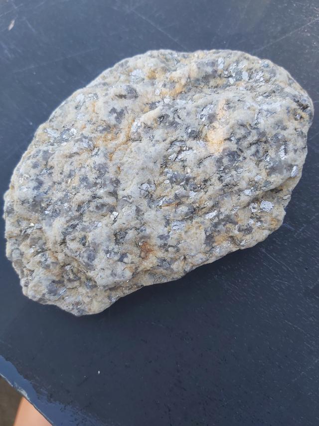 Picture for question