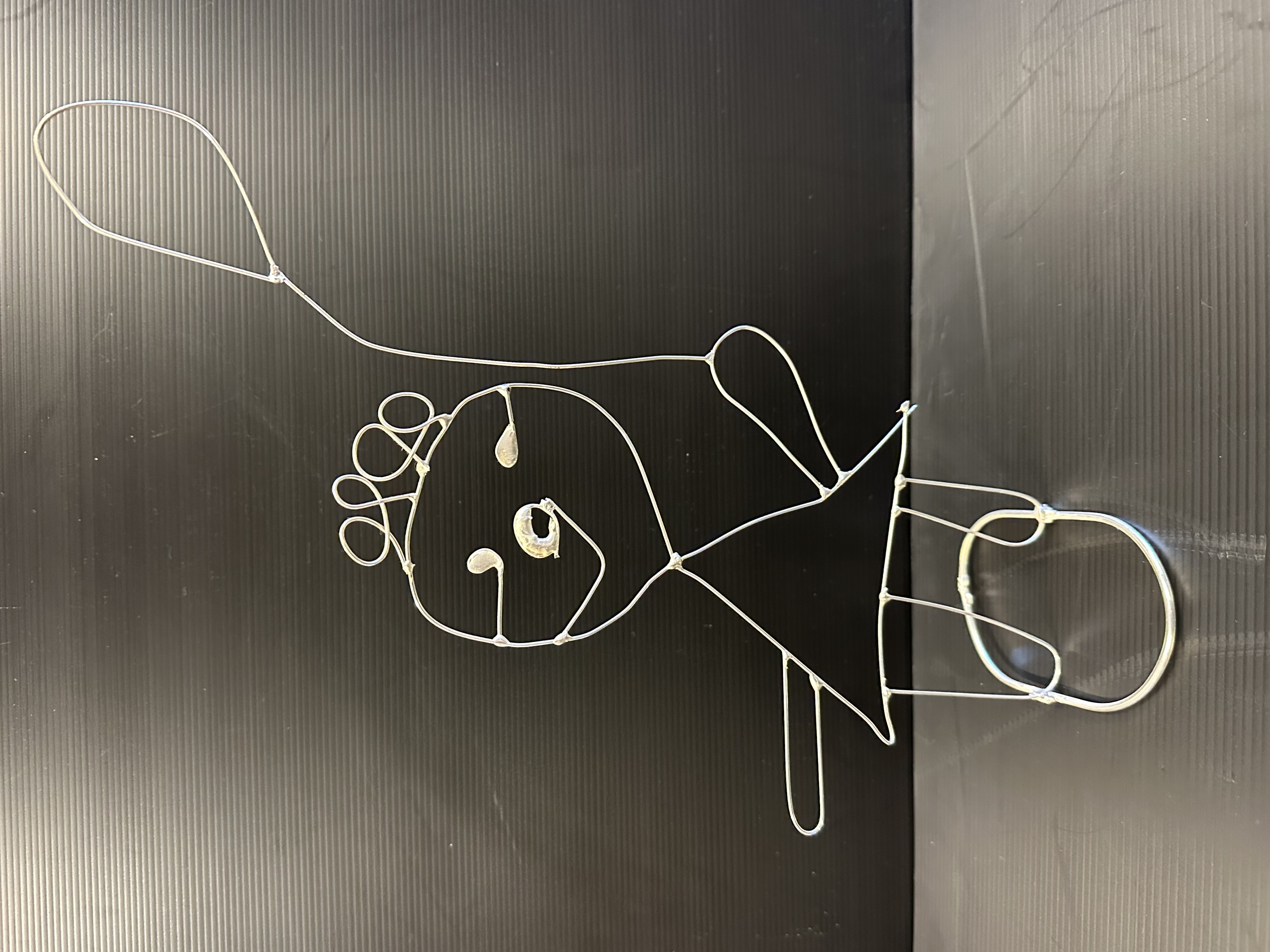 Picture for question