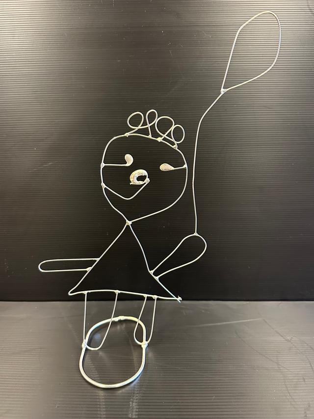 Picture for question