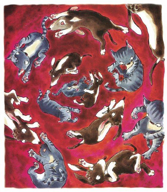 Plaatje bij antwoord