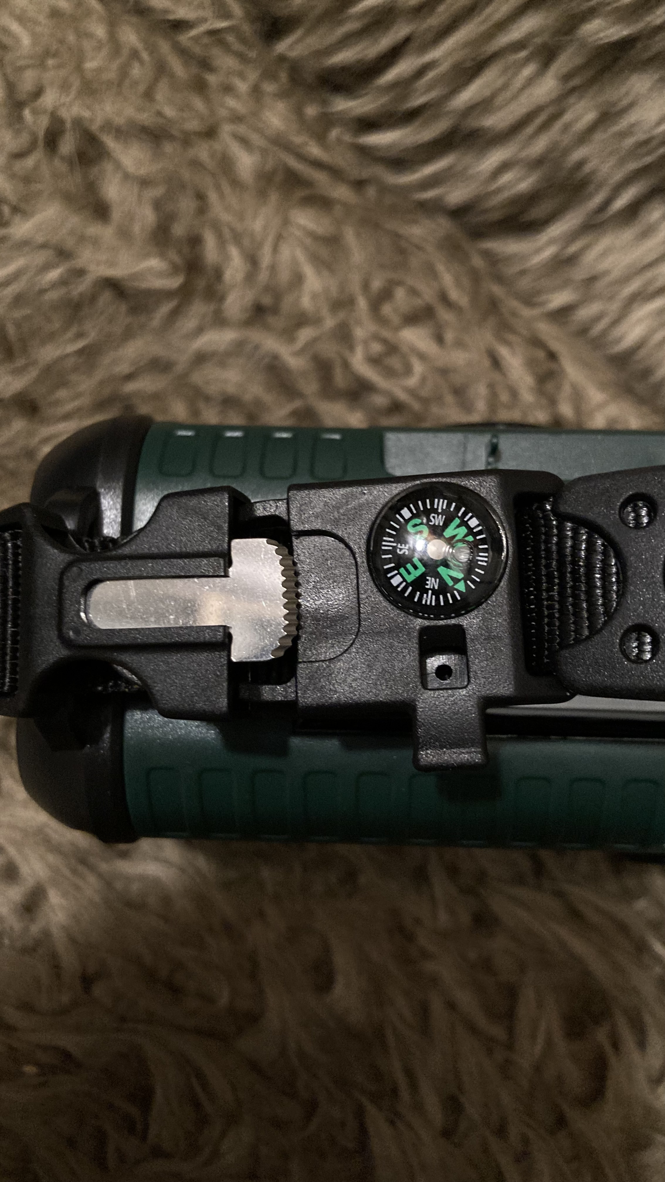 Picture for question