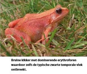 Plaatje bij antwoord