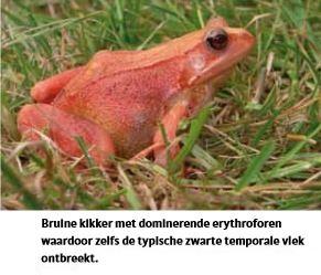 Plaatje bij antwoord