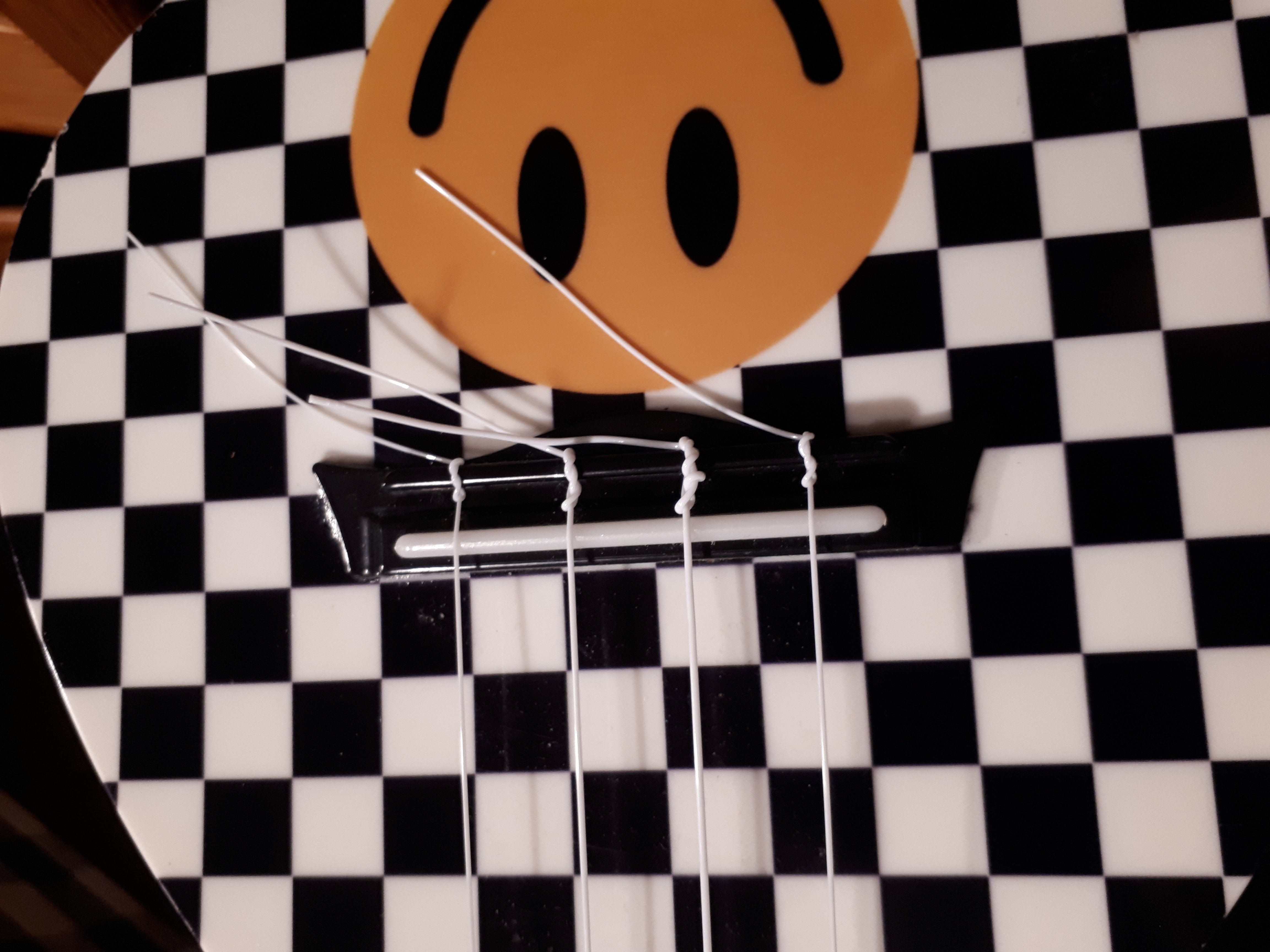 Picture for question