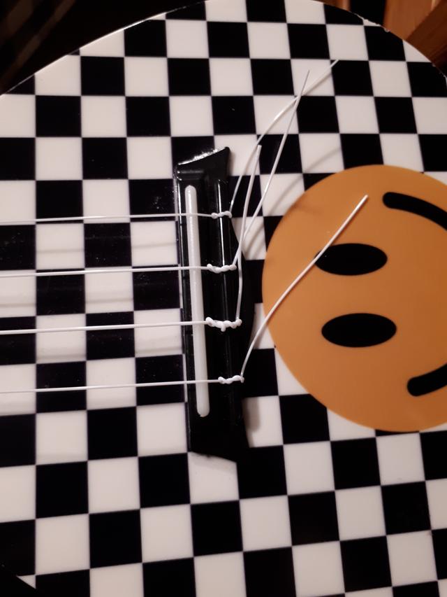 Picture for question