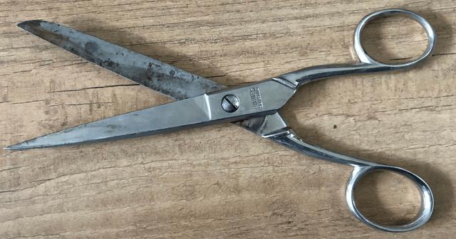 Picture for question