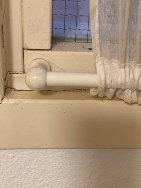 Picture for question