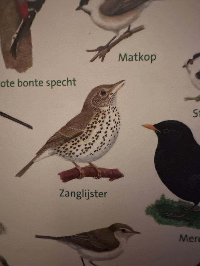 Plaatje bij antwoord