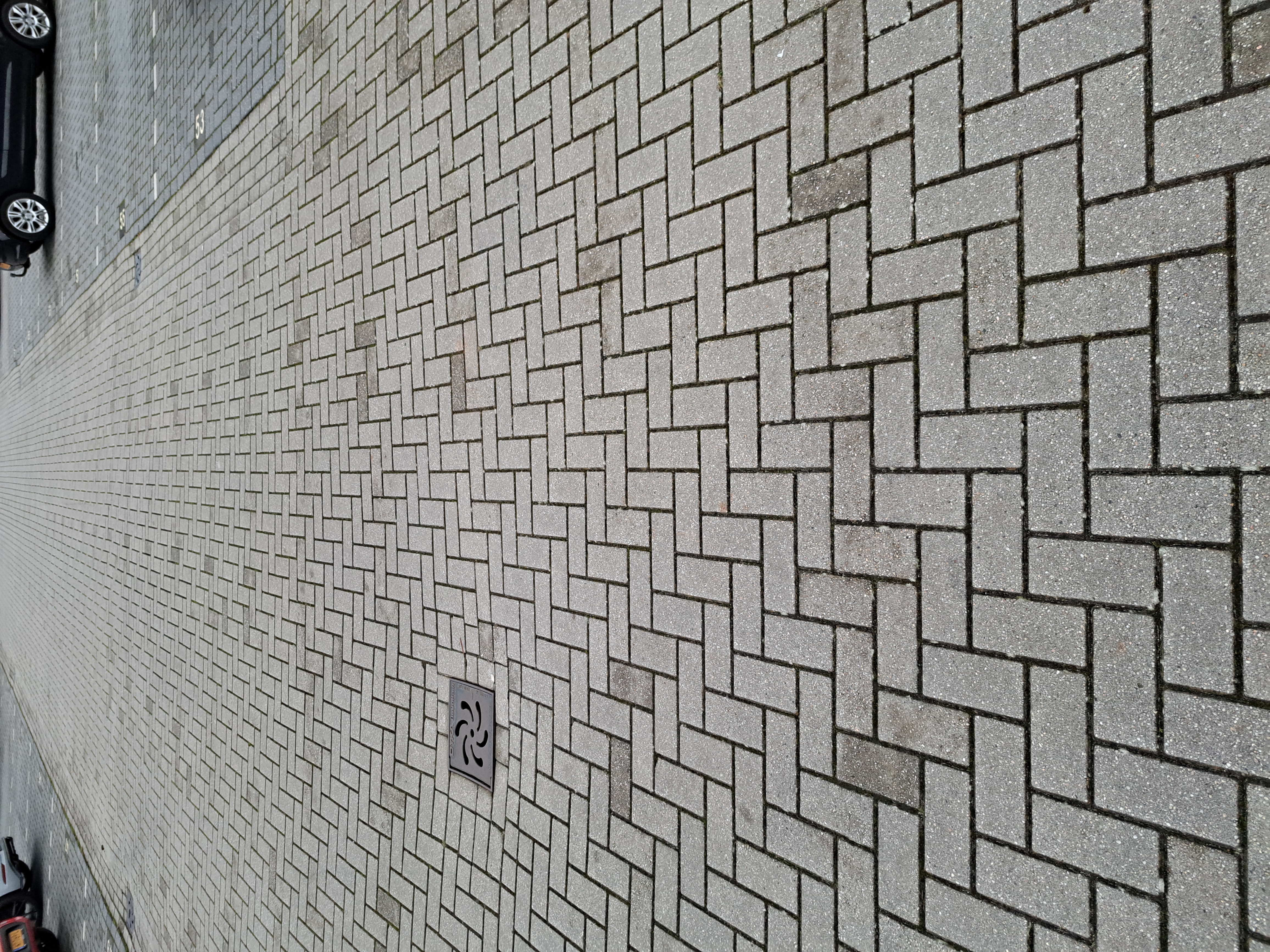 Picture for question