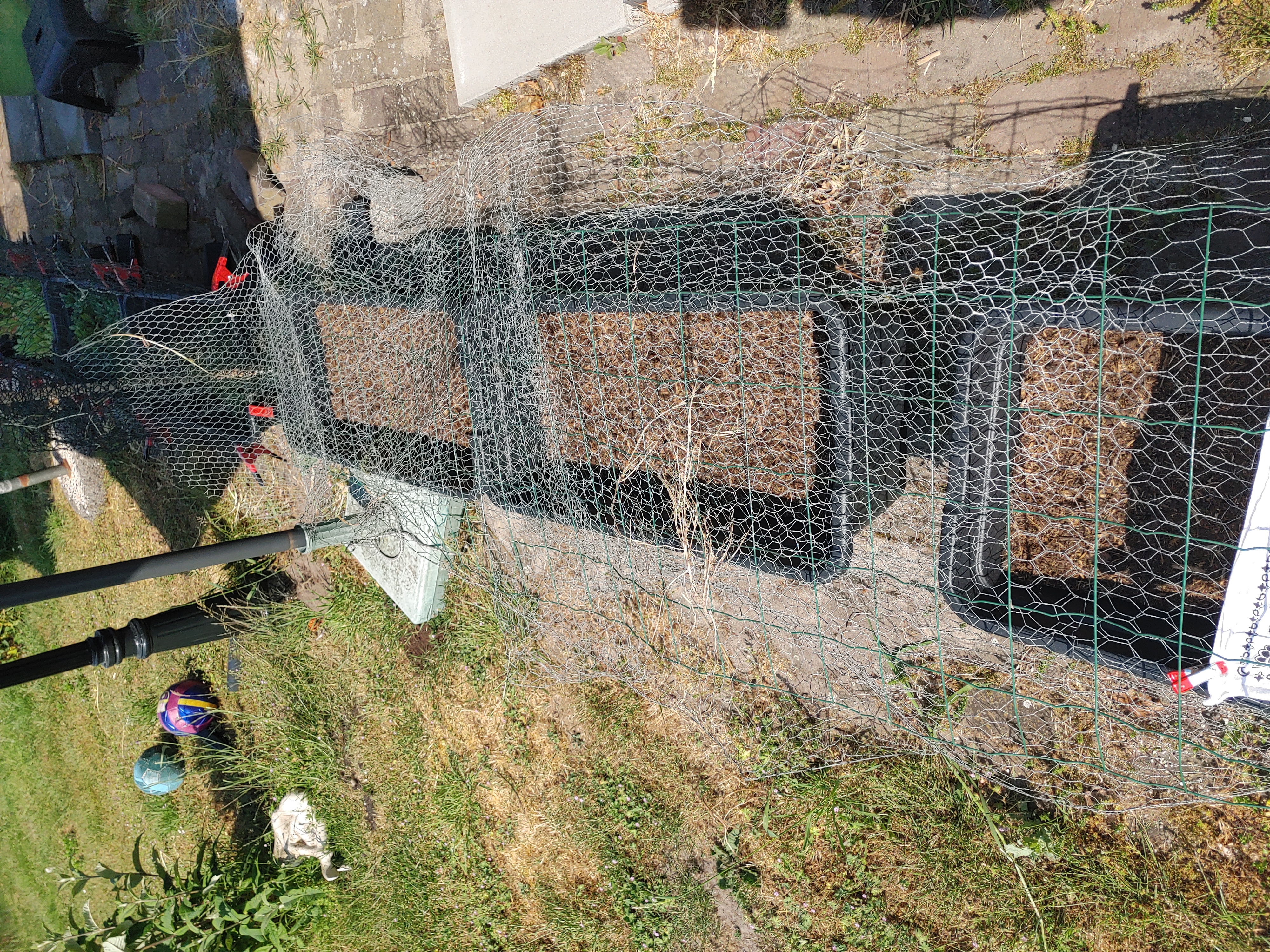 Picture for question