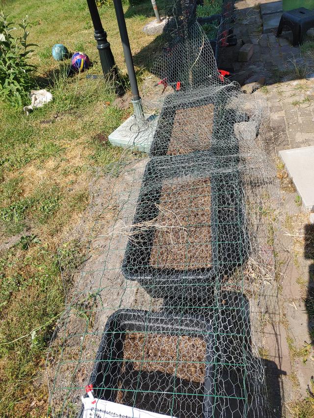 Picture for question