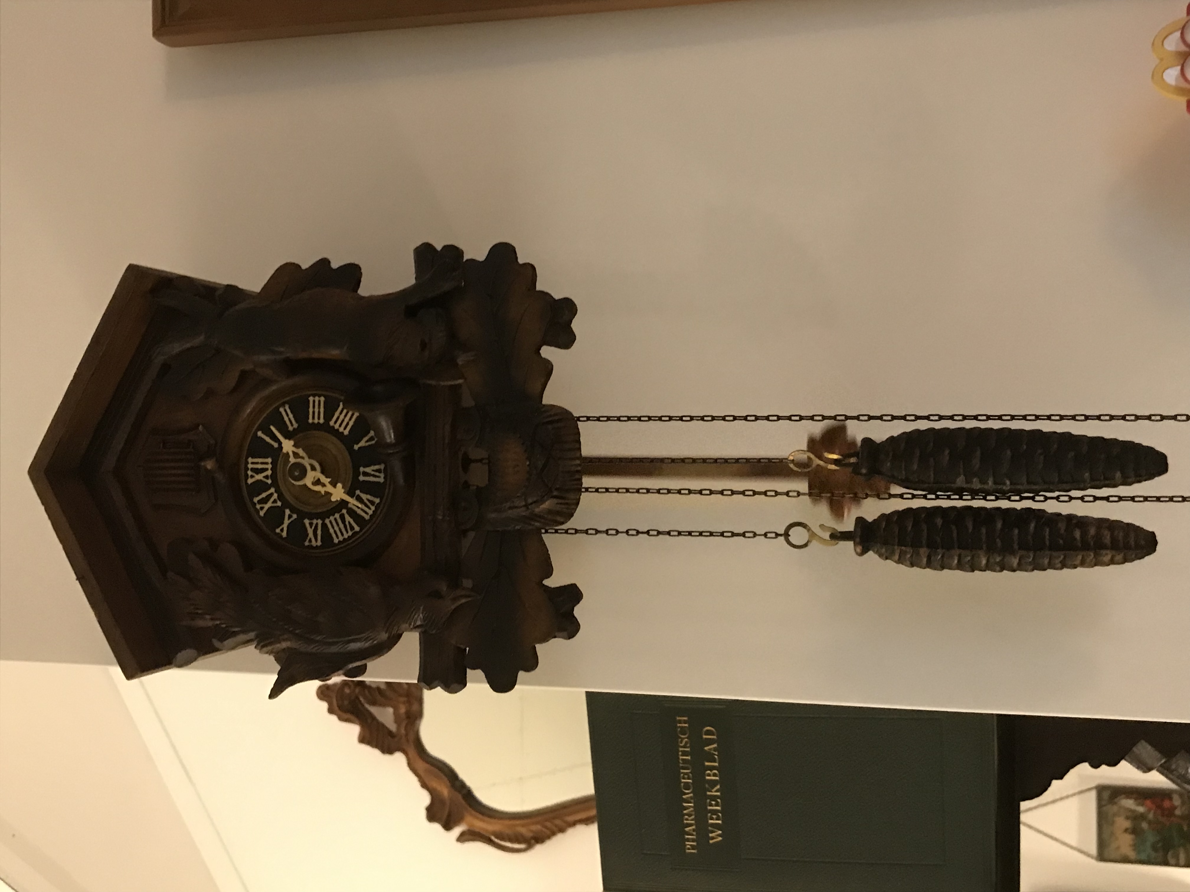 Picture for question