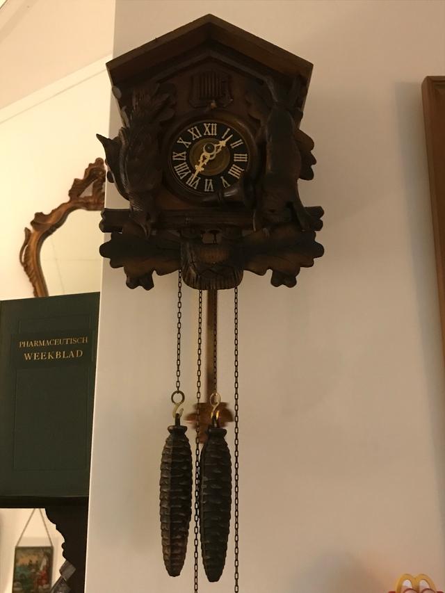 Picture for question