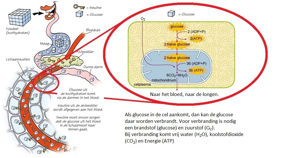 Picture for question