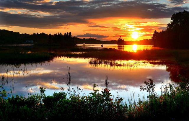 Picture for question