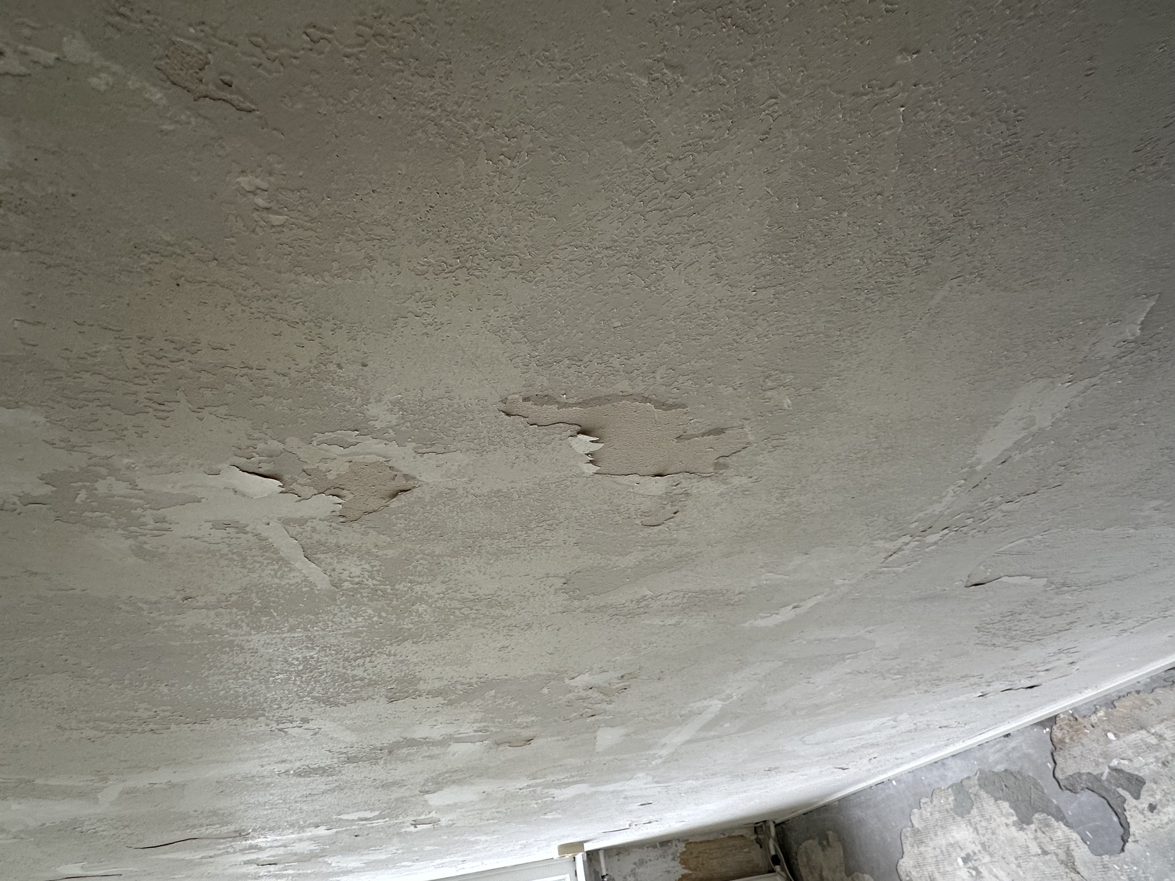 Picture for question