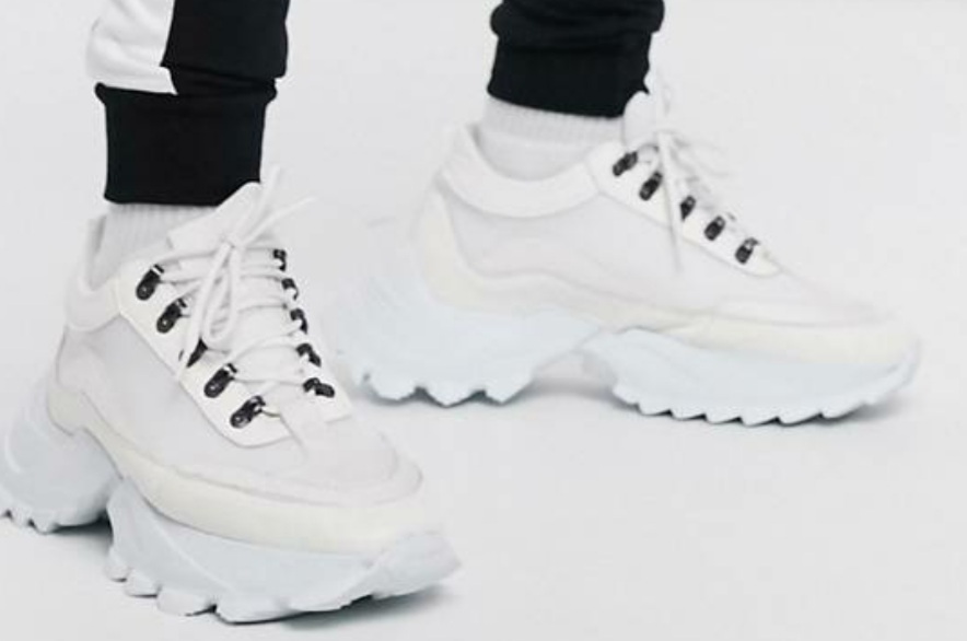 Picture for question