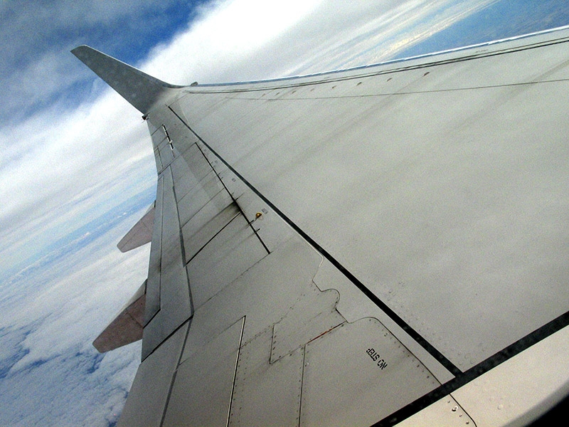 Picture for question