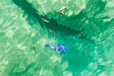 Picture for question