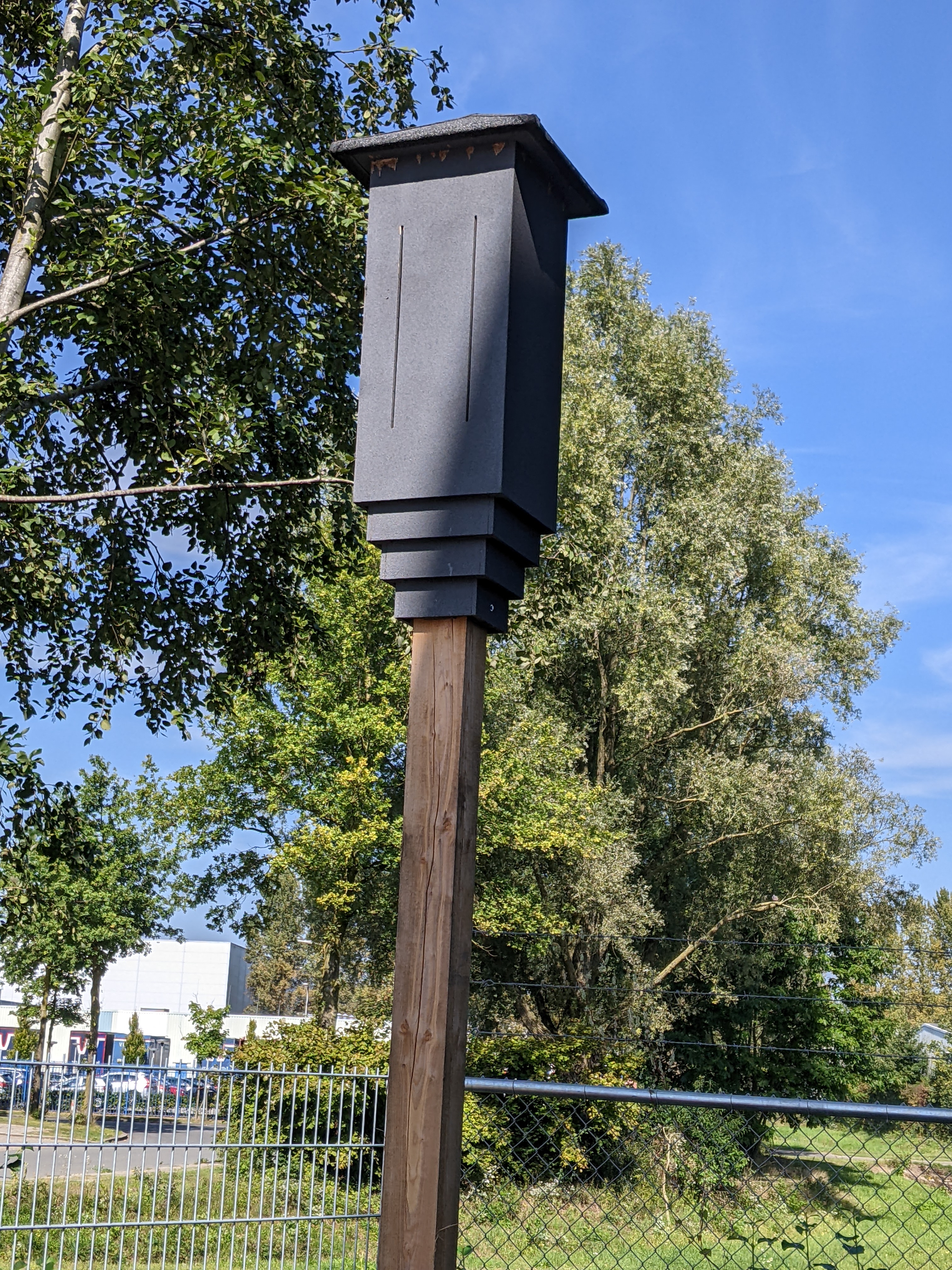 Picture for question