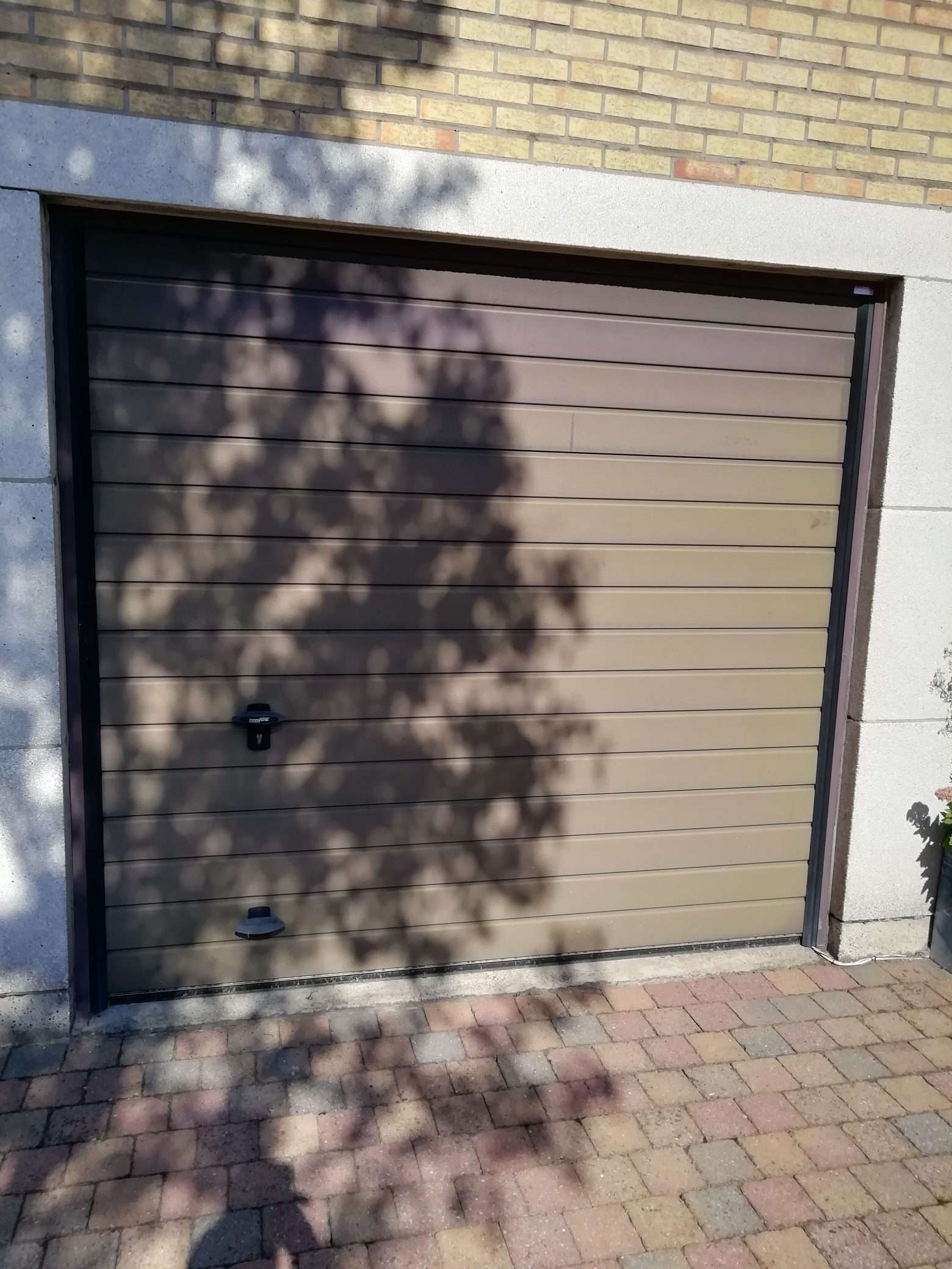 Picture for question