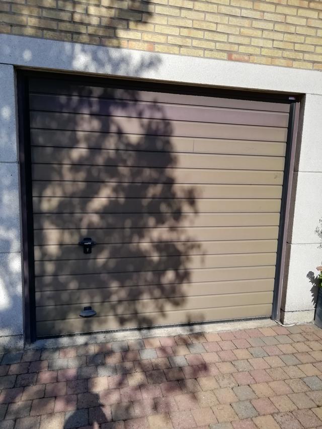 Picture for question