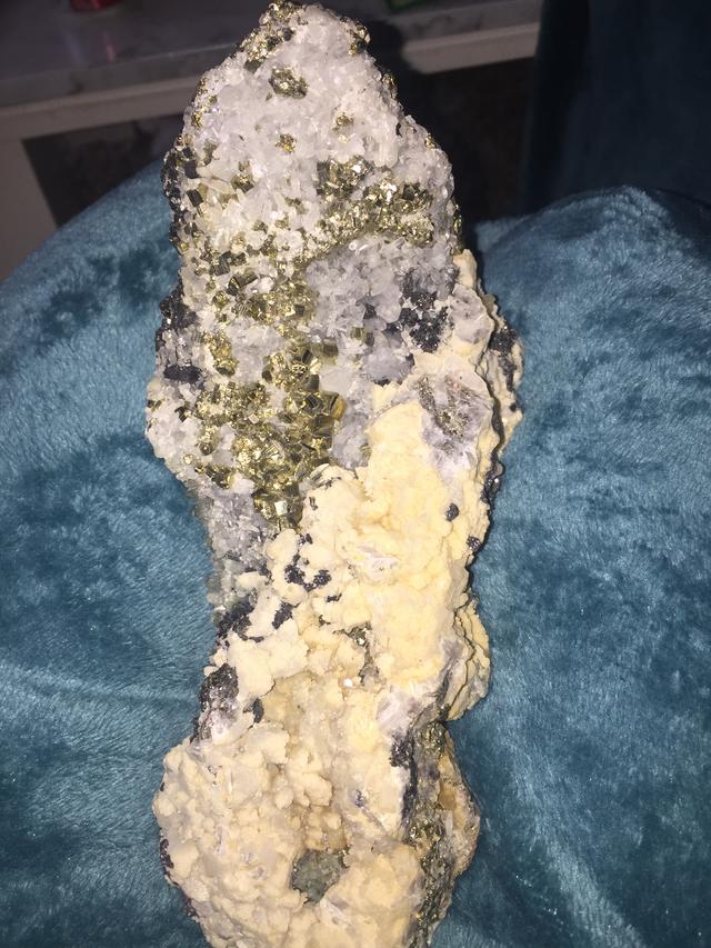 Picture for question