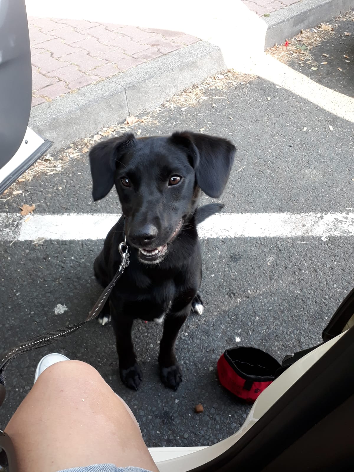 Picture for question