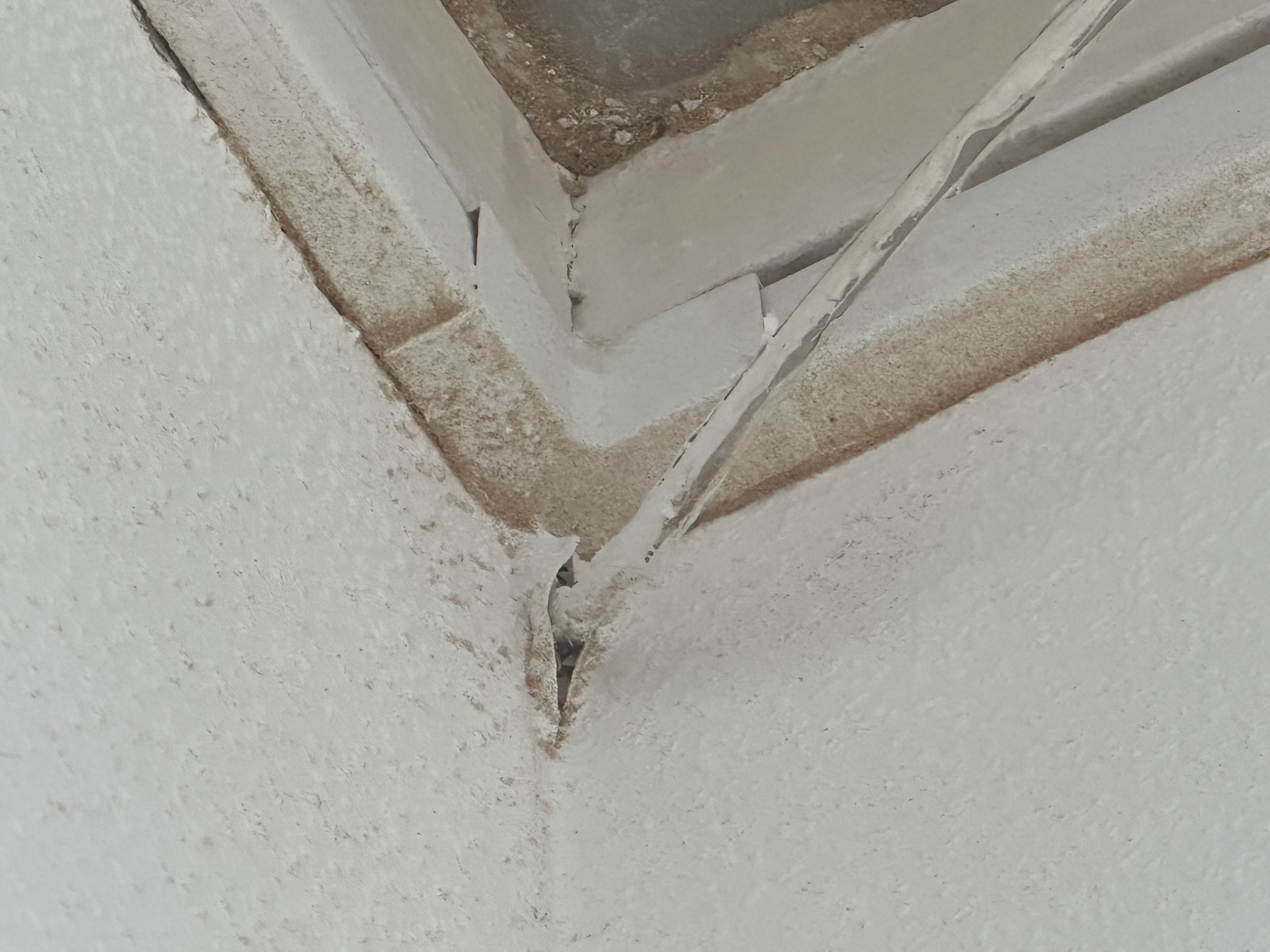 Picture for question