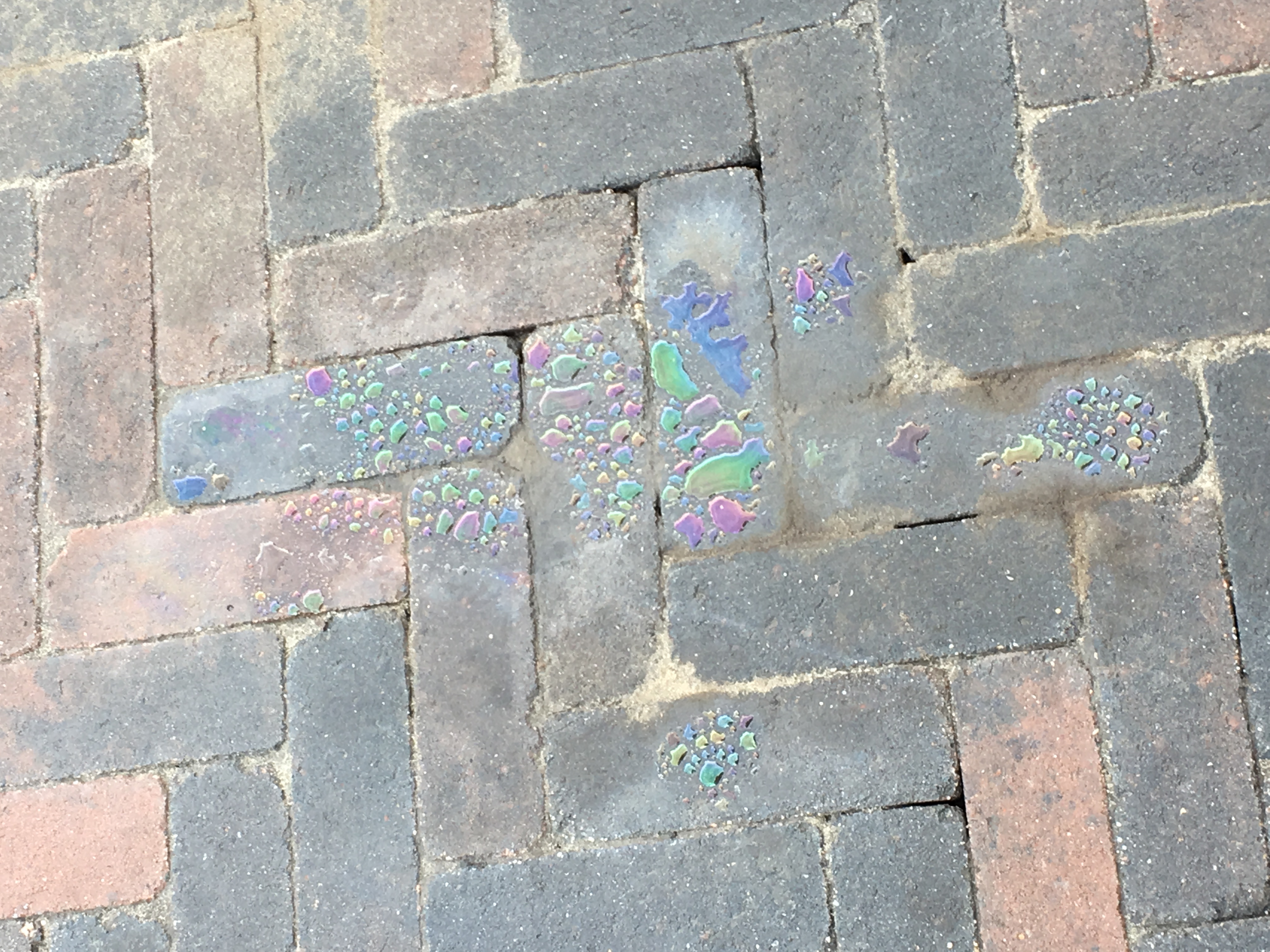 Picture for question