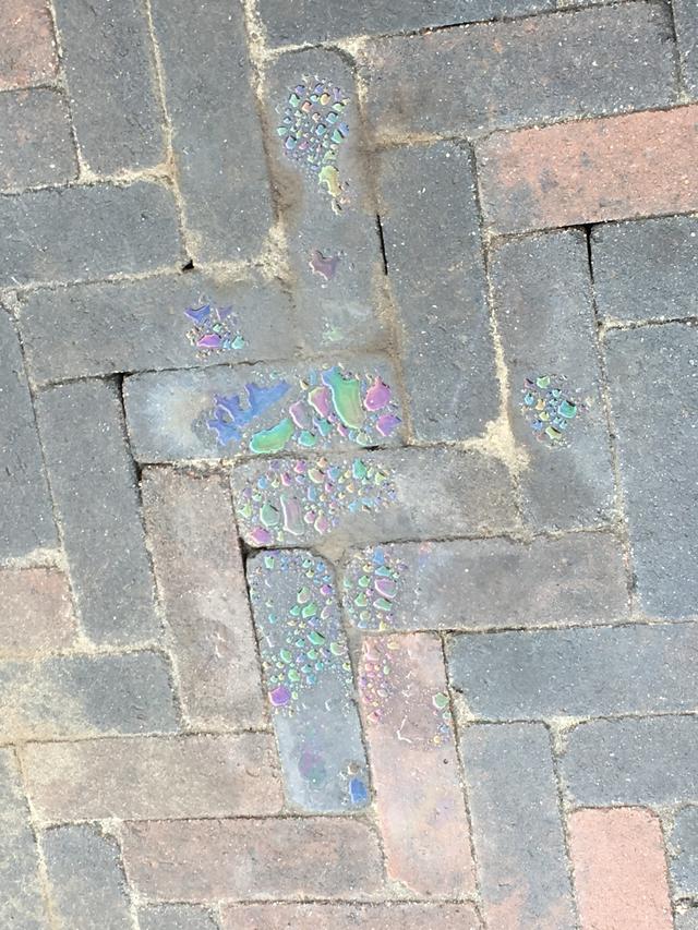 Picture for question