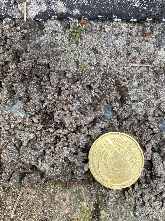 Picture for question