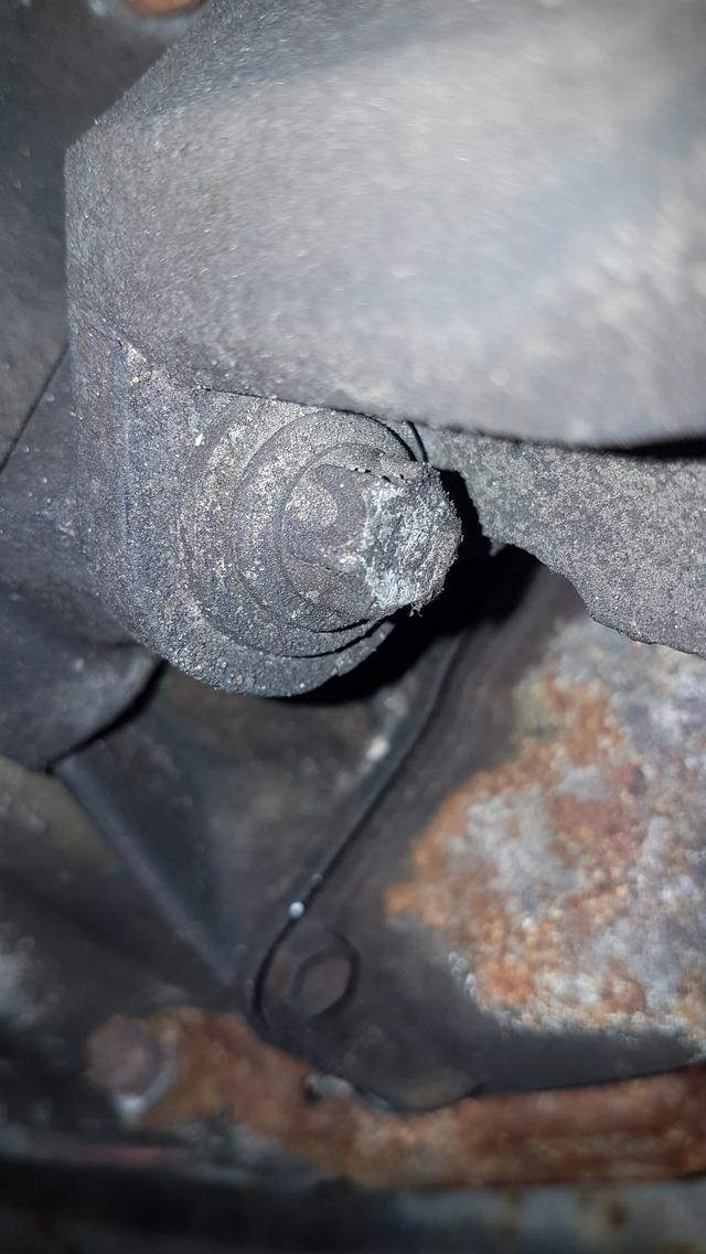 Picture for question