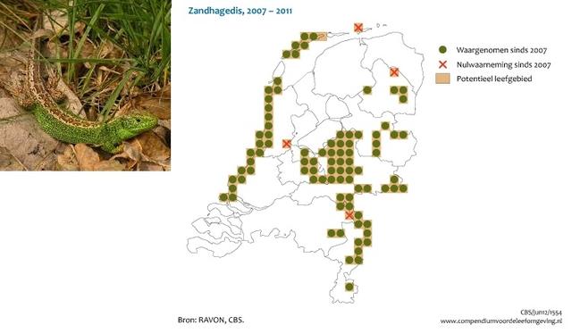 Plaatje bij antwoord